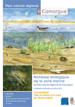 Richesse Biologique De La Zone Marine Du Parc Naturel Régional De Camargue : Compilation De Résultats Obtenus Entre 1955 Et 2004 ; Y