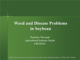 Weed and Disease Problems in Soybean