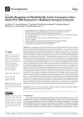 Genetic Responses of Metabolically Active Limnospira Indica Strain PCC 8005 Exposed to Γ-Radiation During Its Lifecycle