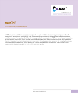 Muscarinic Acetylcholine Receptor