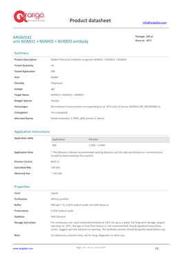 Anti-NOMO1 + NOMO2 + NOMO3 Antibody (ARG40542)