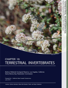 Terrestrial Invertebrates Terrestrial