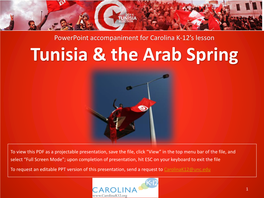 Tunisia & the Arab Spring