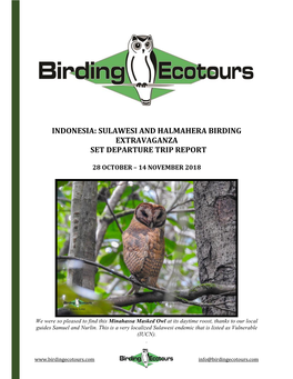 Indonesia: Sulawesi and Halmahera Birding Extravaganza Set Departure Trip Report
