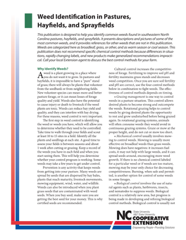 Weed Identification in Pastures, Hayfields, and Sprayfields