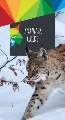 Lynx Walk Guide (EN, Pdf)