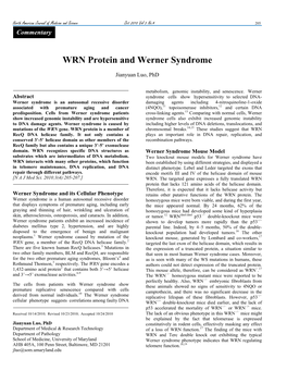 WRN Protein and Werner Syndrome