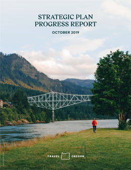 Strategic Plan Progress Report October 2019