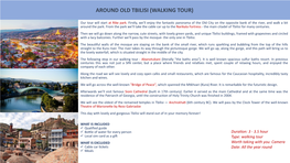 Around Old Tbilisi (Walking Tour)