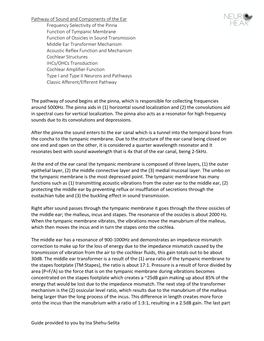 Pathway of Sound and Components of the Ear Frequency Selectivity Of