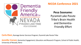 Pyramid Lake Paiute Tribe's Brain Health and Dementia Friendly Effort