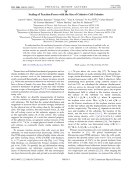 Scaling of Traction Forces with the Size of Cohesive Cell Colonies