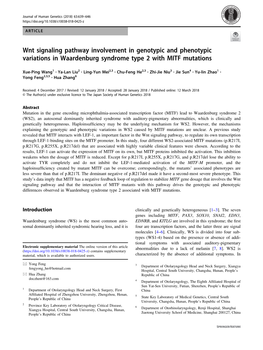 Wnt Signaling Pathway Involvement in Genotypic and Phenotypic Variations in Waardenburg Syndrome Type 2 with MITF Mutations