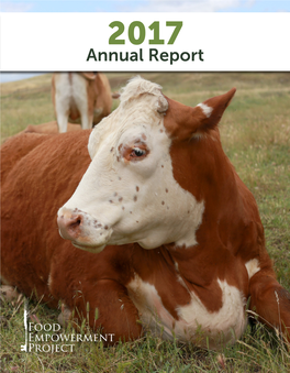 Annual Report INTRODUCTION YEAR in REVIEW