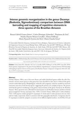 Intense Genomic Reorganization in the Genus Oecomys