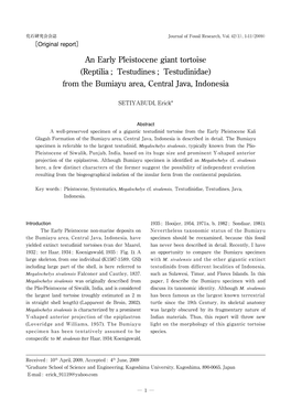 An Early Pleistocene Giant Tortoise (Reptilia ; Testudines ; Testudinidae) from the Bumiayu Area, Central Java, Indonesia