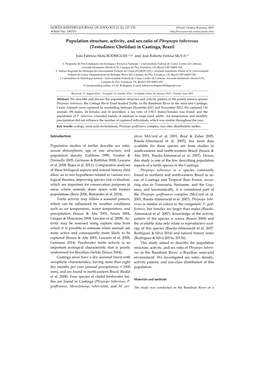 Population Structure, Activity, and Sex Ratio of Phrynops Tuberosus (Testudines: Chelidae) in Caatinga, Brazil