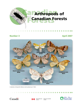 Arthropods of Canadian Forests April 2007 