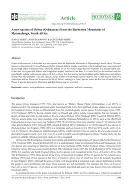 A New Species of Ochna (Ochnaceae) from the Barberton Mountains of Mpumalanga, South Africa