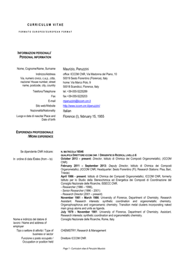 European Curriculum Vitae Format