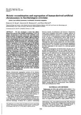 Meiotic Recombination and Segregation of Human-Derived