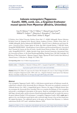 Comb. Nov., a Forgotten Freshwater Mussel Species from Myanmar (Bivalvia, Unionidae)