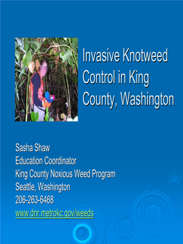 Invasive Knotweed Control in King County, Washington