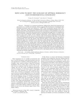 The Ecology of Optimal Dormancy and Environmental Constraint