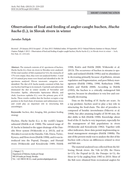 Observations of Food and Feeding of Angler-Caught Huchen, Hucho Hucho (L.), in Slovak Rivers in Winter