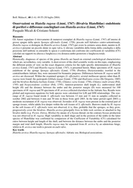 Bivalvia Hiatellidae) Endobionte Di Poriferi E Differenze Conchigliari Con Hiatella Arctica (Linné, 1767) Pasquale Micali & Cristiano Solustri