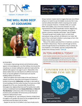 THE WELL RUNS DEEP at COOLMORE Horse