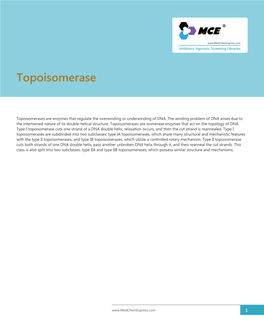 Topoisomerase