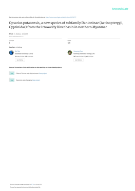 Opsarius Putaoensis, a New Species of Subfamily Danioninae (Actinopterygii, Cyprinidae) from the Irrawaddy River Basin in Northern Myanmar