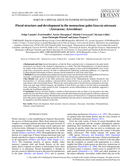 Floral Structure and Development in the Monoecious Palm Gaussia Attenuata (Arecaceae; Arecoideae)