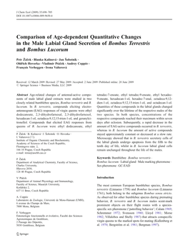 Comparison of Age-Dependent Quantitative Changes in the Male Labial Gland Secretion of Bombus Terrestris and Bombus Lucorum