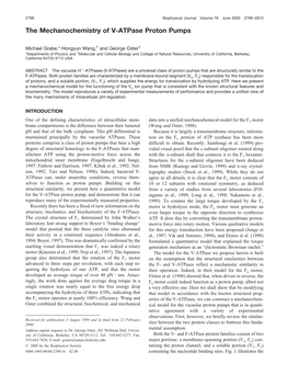 The Mechanochemistry of V-Atpase Proton Pumps