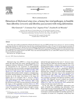 Detection of Deformed Wing Virus, a Honey Bee Viral Pathogen, in Bumble Bees (Bombus Terrestris and Bombus Pascuorum) with Wing Deformities