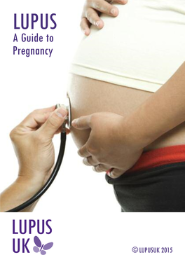 Lupus a Guide to Pregnancy