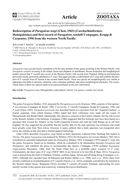 Redescription of Paragaleus Tengi (Chen, 1963)