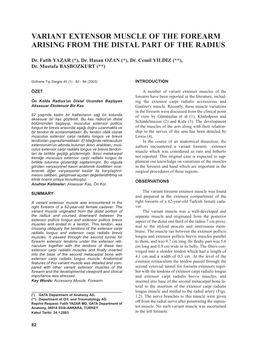 Variant Extensor Muscle of the Forearm Arising from the Distal Part of the Radius