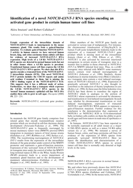 Identification of a Novel NOTCH-4/INT-3 RNA Species