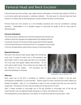 Femoral Head and Neck Excision