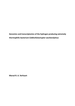 Genomics and Transcriptomics of the Hydrogen Producing Extremely Thermophilic Bacterium Caldicellulosiruptor Saccharolyticus Ma