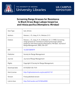 Screening Range Grasses for Resistance to Black Grass Bugs Labops Hesperius and Irbisia Pacifica (Hemiptera: Miridae)