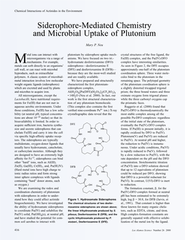 Siderophore-Mediated Chemistry and Microbial Uptake of Plutonium