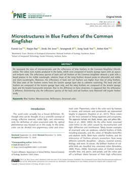 Microstructures in Blue Feathers of the Common Kingfisher