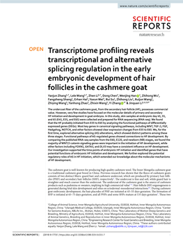 Transcriptome Profiling Reveals Transcriptional and Alternative