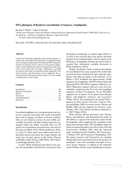 DNA Phylogeny of Ryukyus Leucothoidae (Crustacea: Amphipoda)