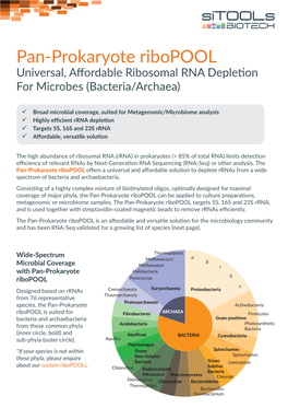 Pan-Prokaryote Ribopool Universal, Aﬀordable Ribosomal RNA Depletion for Microbes (Bacteria/Archaea)