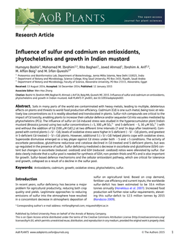 Influence of Sulfur and Cadmium on Antioxidants, Phytochelatins And